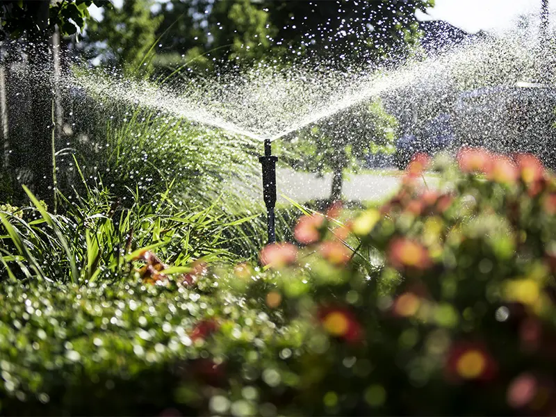 Irrigation System Installation Services in Sharjah & Dubai